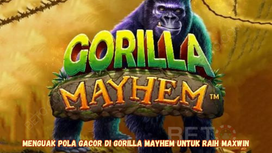 Menguak Pola Gacor di Gorilla Mayhem untuk Raih Maxwin